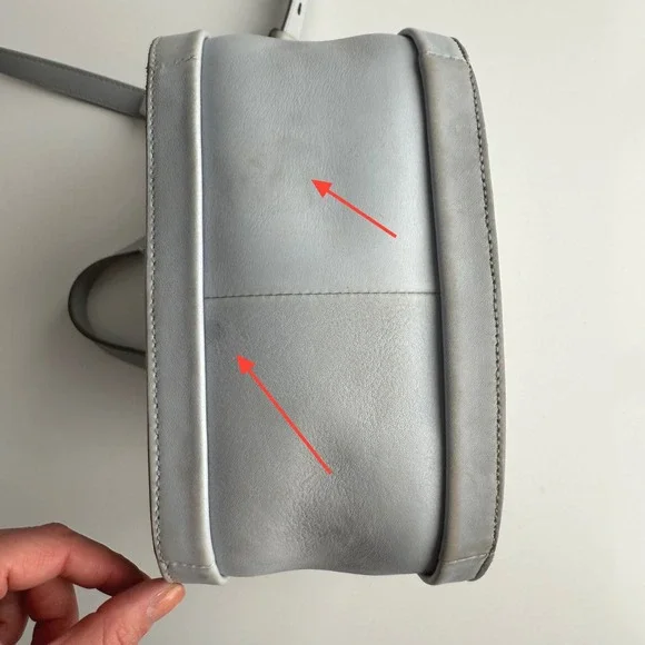 Madewell Sydney Powder Blue Leather Two Strap Crossbody Bag Purse